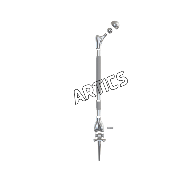 Total Femur Prosthesis System
